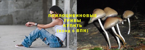 мдпв Вяземский