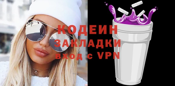 мдпв Вяземский