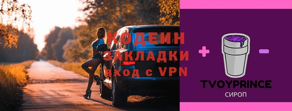мдпв Вяземский