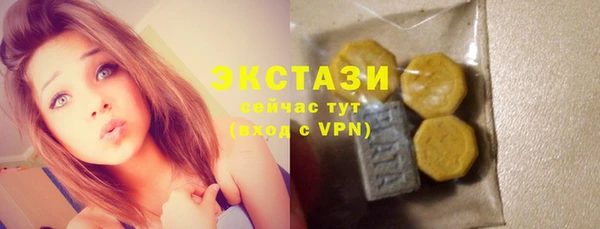 мдпв Вяземский