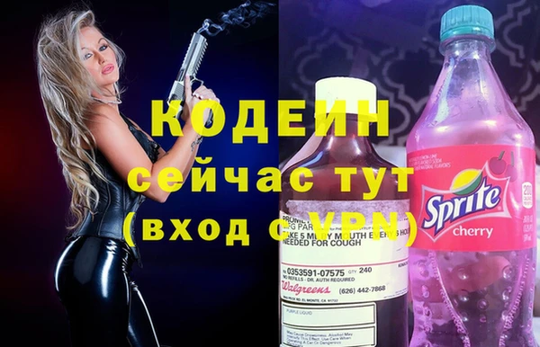мдпв Вяземский