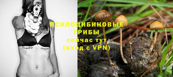 мдпв Вяземский