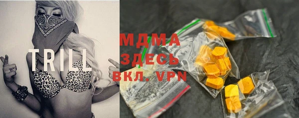 мдпв Вяземский